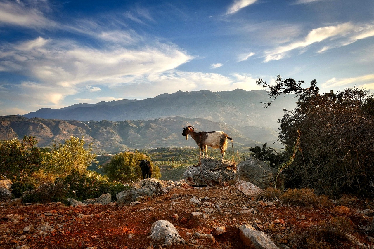 Luce dorata d'autunno sulle colline cretesi - Creta - Grecia