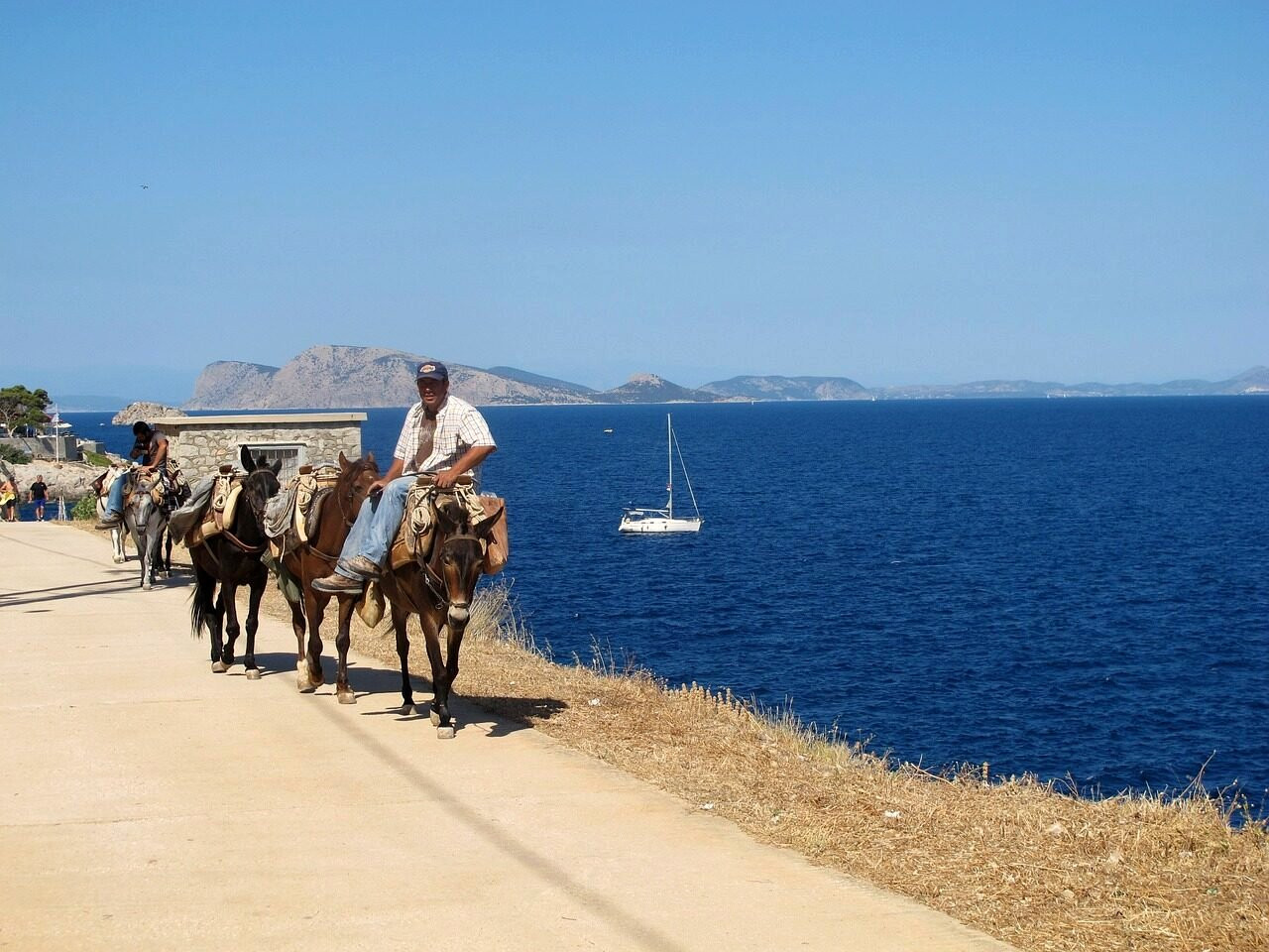 Sentiero costiero e muli in riva al mare - Idra - Grecia