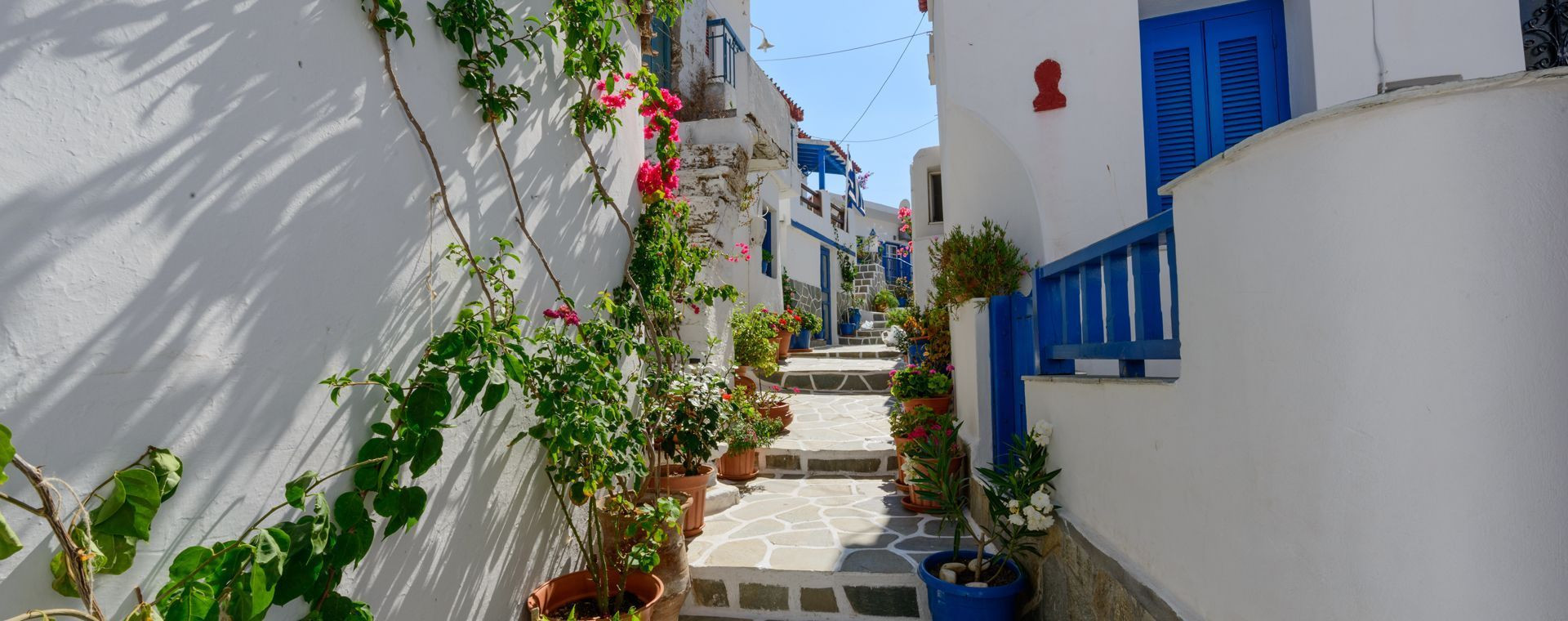 Ruelle blanche et bleue fleurie - Dryopida - Kythnos, Cyclades, Grèce